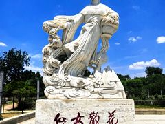 -曹州牡丹园