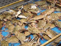 -半岛听涛蒸汽海鲜自助(K11店)