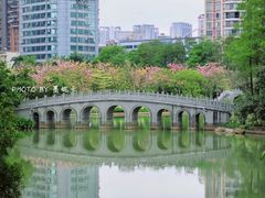 -四海公园(南山区)