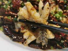 -三猫黑鱼花(南大店)