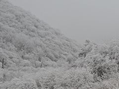 -牛背梁国家森林公园