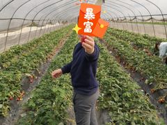 -小鱼草莓采摘园农家乐·小鱼餐厅