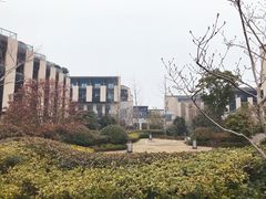 -上海崇明金茂凯悦酒店