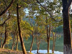 -凤岗南门山森林公园