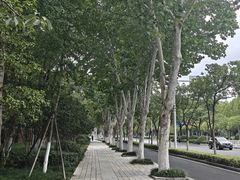 -羊山湖公园