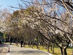 -苏州河梦清园环保主题公园