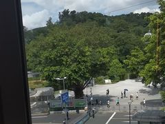 -点都德(广州白云山景区南门店)