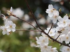-WEPARK 芳草寓