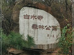 -白水寺森林公园