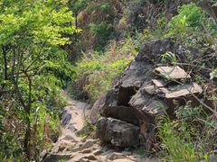 -梧桐山风景名胜区