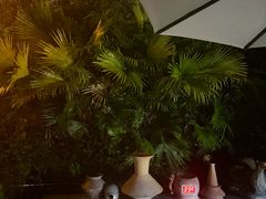 -凤翔首邑温泉度假村