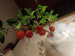 -醉美长安·陕菜(万和城店)