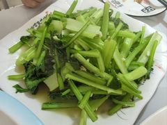 -煲来饱去冷水鱼