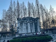 -音乐台