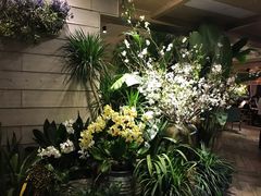 -春暖花开(西溪店)