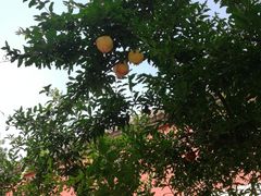 -大雁塔北广场音乐喷泉