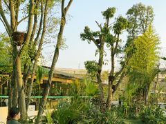 -茅草房·河畔园林火锅