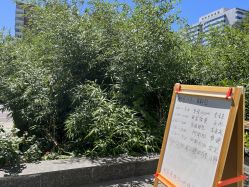 -酉嘉瑜伽YO+YOGA