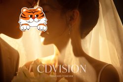 点击看大图 -CD视觉婚纱摄影