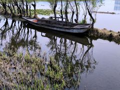 -洱海月湿地公园