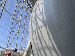 -美国自然历史博物馆