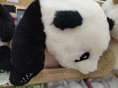 -熊猫邮局(少城店)