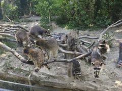 -宁波野生动物园