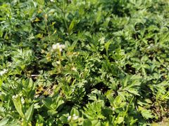 -湖南生物机电职业技术学院(东湖校区)