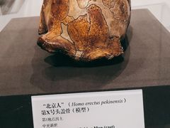 -北京周口店北京人遗址博物馆