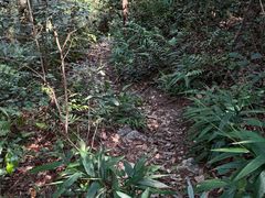 -午潮山国家森林公园