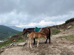 -灵山