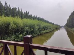 -黄海国家森林公园