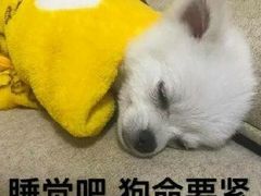 -顺水鱼馆(克西路店)