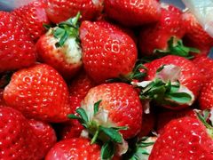 -乐乐鲜果(解放南路店)