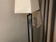 -明月山天沐温泉度假村