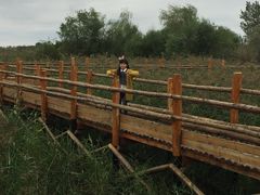 -灞河西岸滨河公园