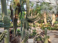 -北京植物园-展览温室