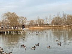 -西安浐灞国家湿地公园