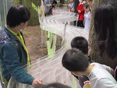 -正佳雨林生态植物园