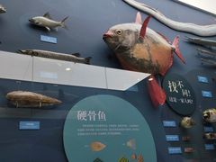 -国家自然博物馆