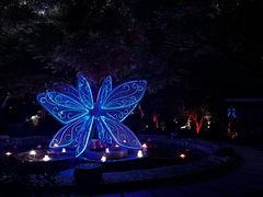 -杭州黄龙洞