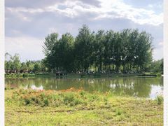 -东郊湿地公园
