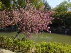 -昆山城市公园
