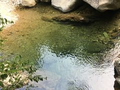 -浙西大龙湾