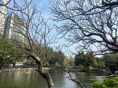 -晓港公园
