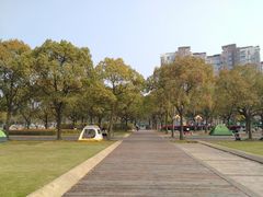 -新江湾城公园