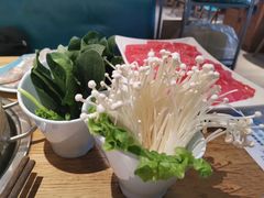 -青瓷火锅料理(西单大悦城店)