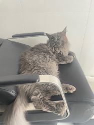 -熙.Hair 丨专注女子中长发丨
