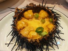 -日月昇渔家菜·海肠捞饭·大连海鲜(星海公园店)