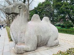 -梅花山(明孝陵内)